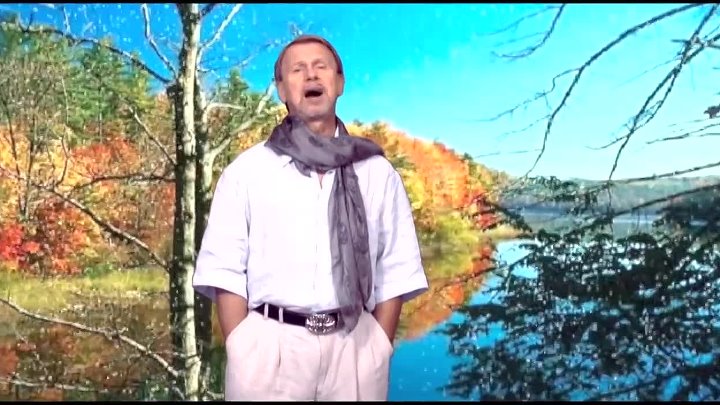 Сизый голубь 2012